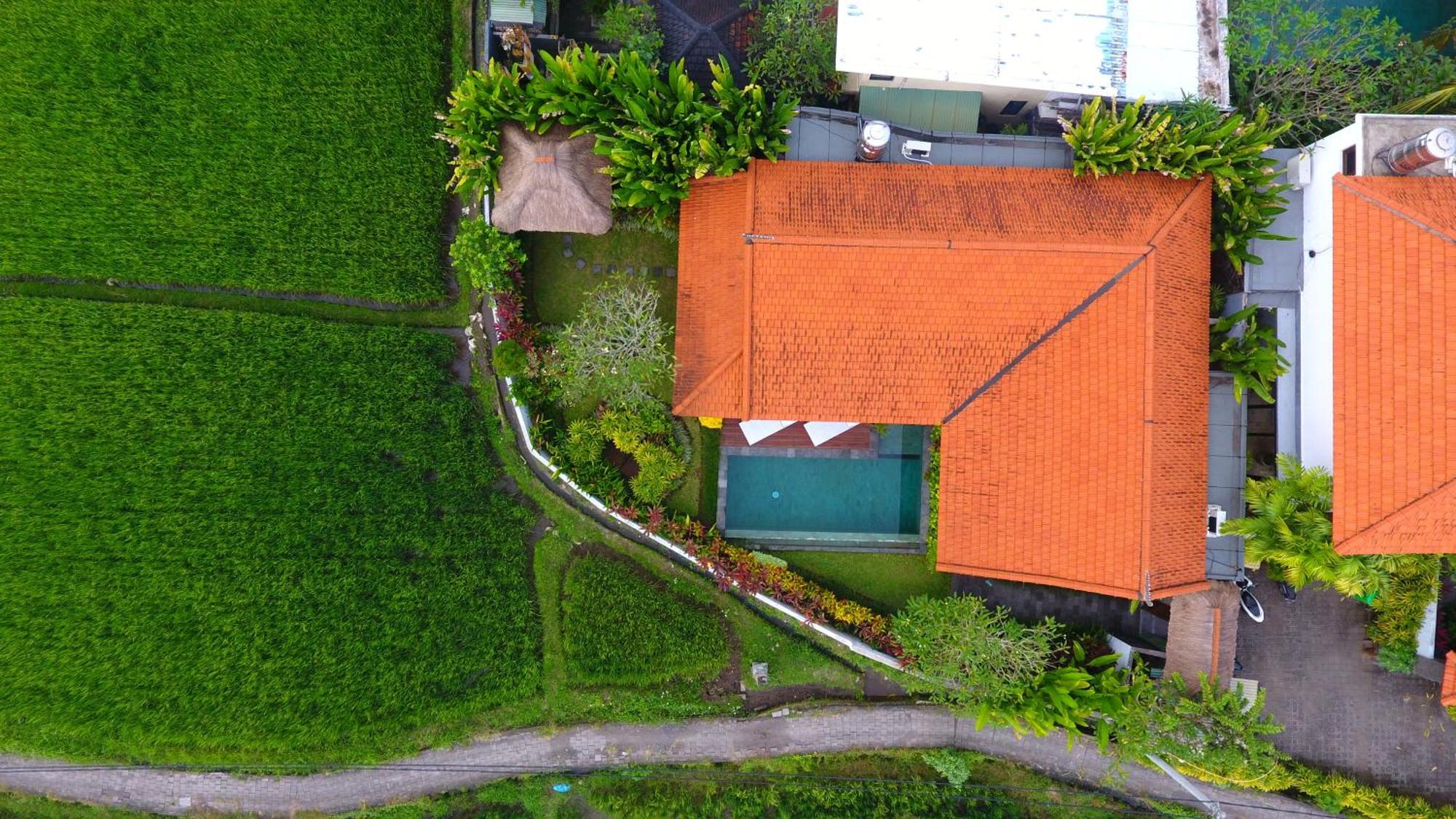 Villa Maya Ubud, Peaceful Rice Field View Exterior photo