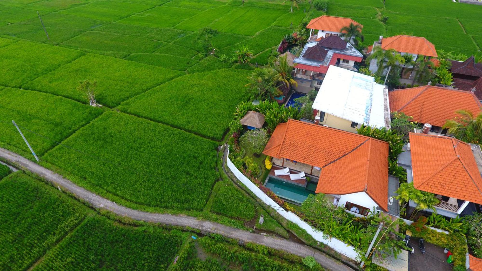 Villa Maya Ubud, Peaceful Rice Field View Exterior photo