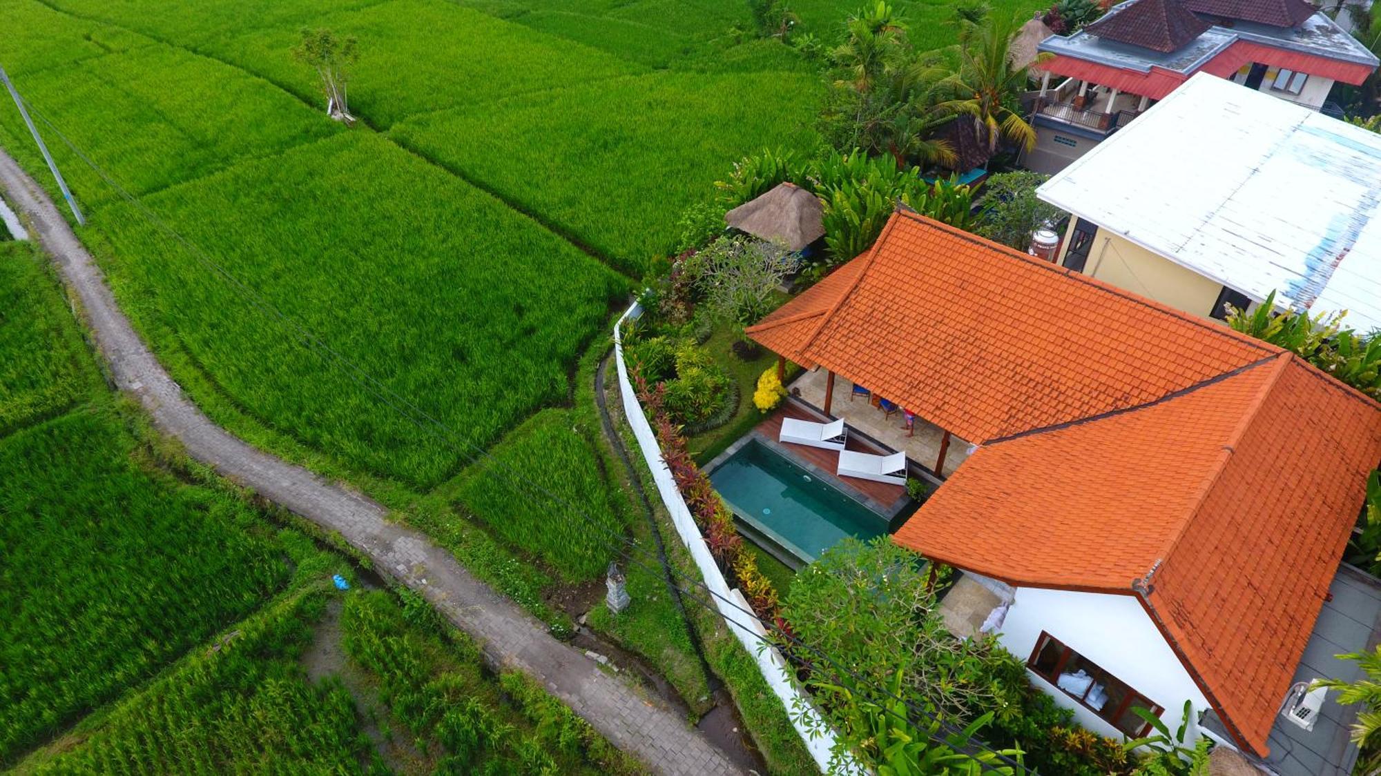 Villa Maya Ubud, Peaceful Rice Field View Exterior photo